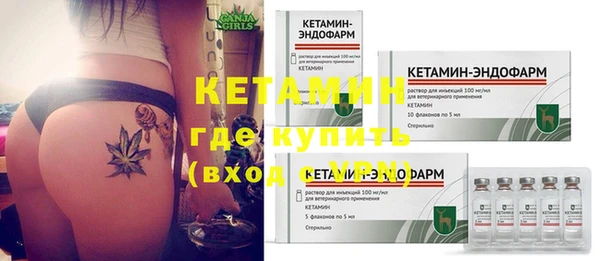 крисы Кулебаки