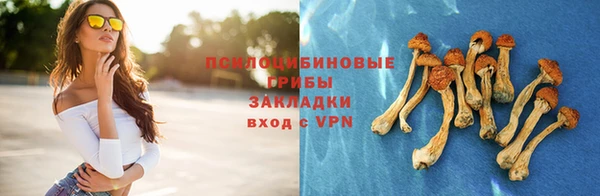 круглые Переславль-Залесский