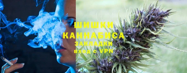 индика Куйбышев