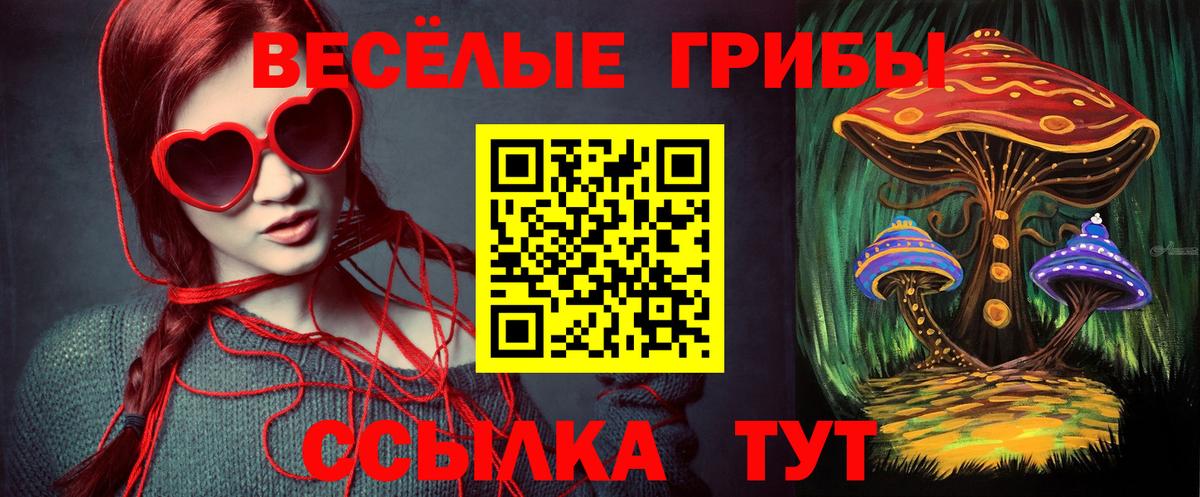 Галлюциногенные грибы мицелий  Вход с VPN  Галлюциногенные грибы Psilocybe  Унеча 